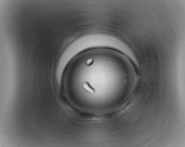 X0000114140164200910081312