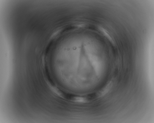 X0000114140167200910081312