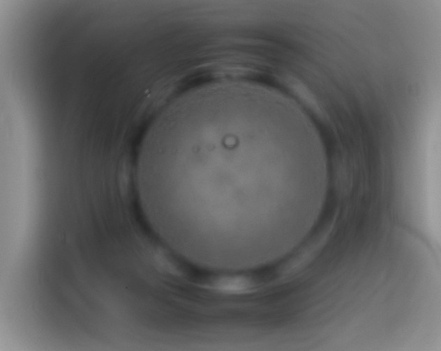 X0000114140169200910081312