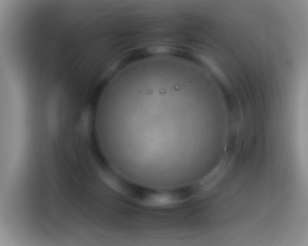 X0000114140171200910081312