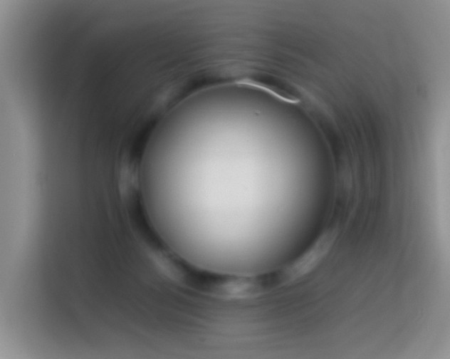 X0000114140172200910081312