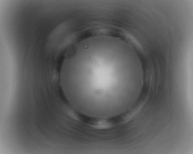 X0000114140173200910081312