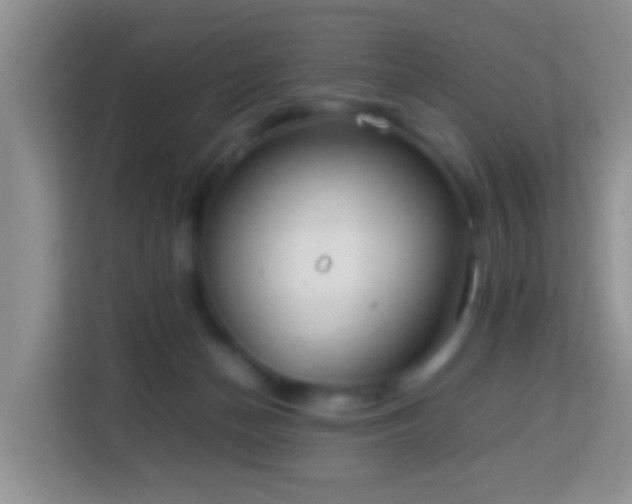 X0000114140174200910081312