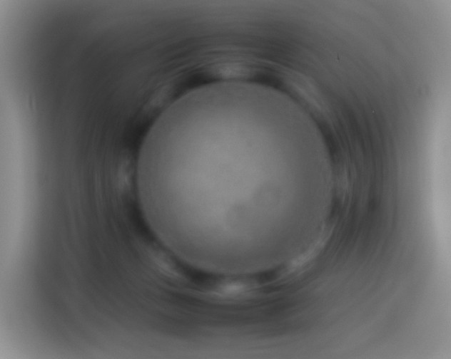 X0000114140175200910081312