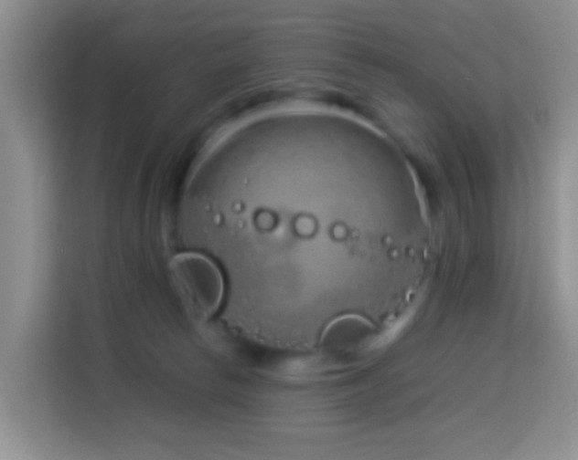 X0000114140178200910081312