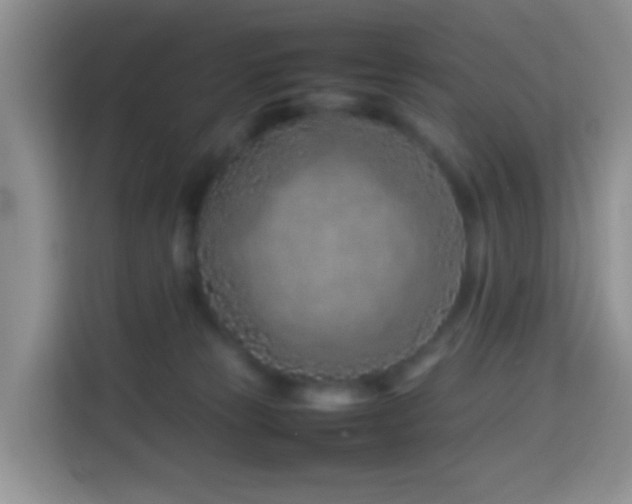 X0000114140181200910081312