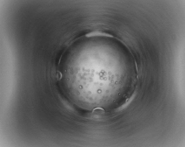 X0000114140182200910081312