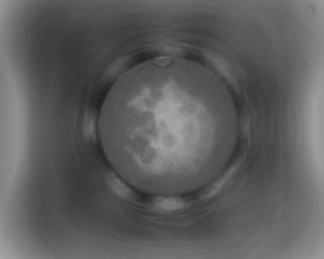 X0000114140185200910081312