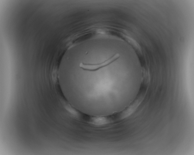 X0000114140189200910081312