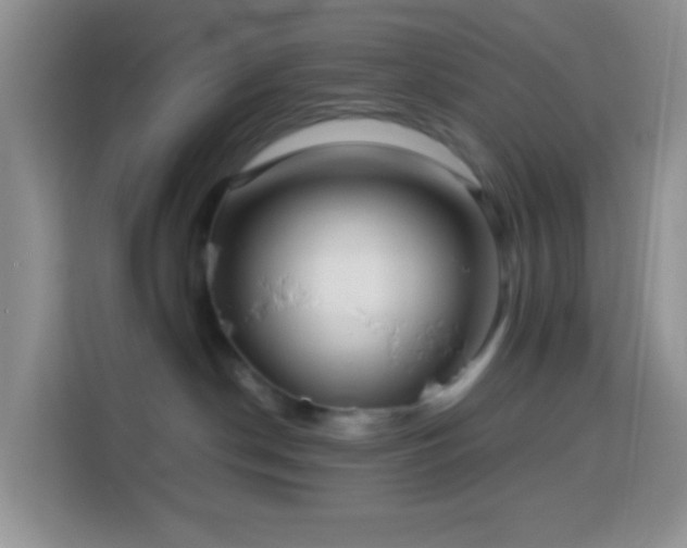 X0000114140190200910081312