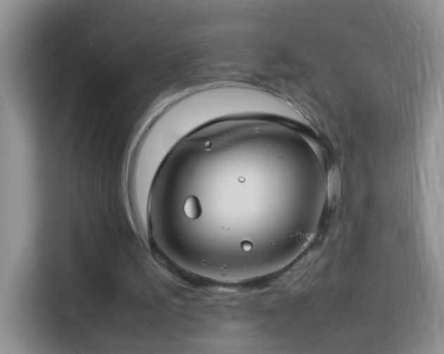 X0000114140195200910081311