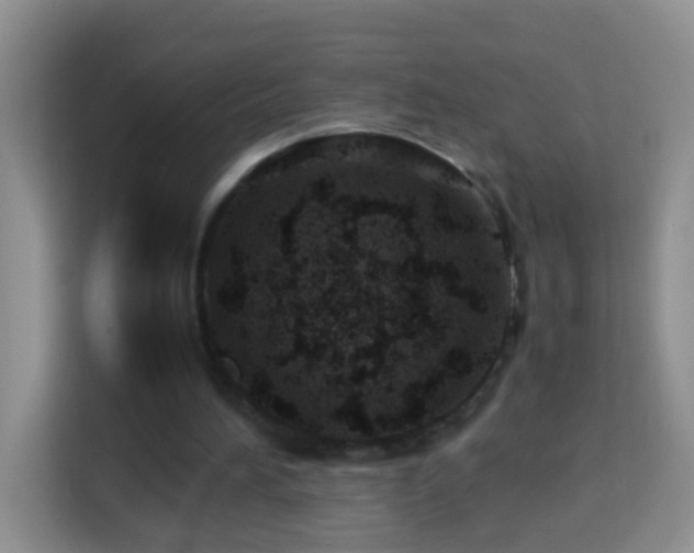 X0000114140196200910081311