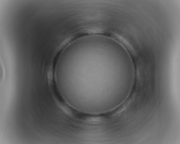 X0000114140202200910081311