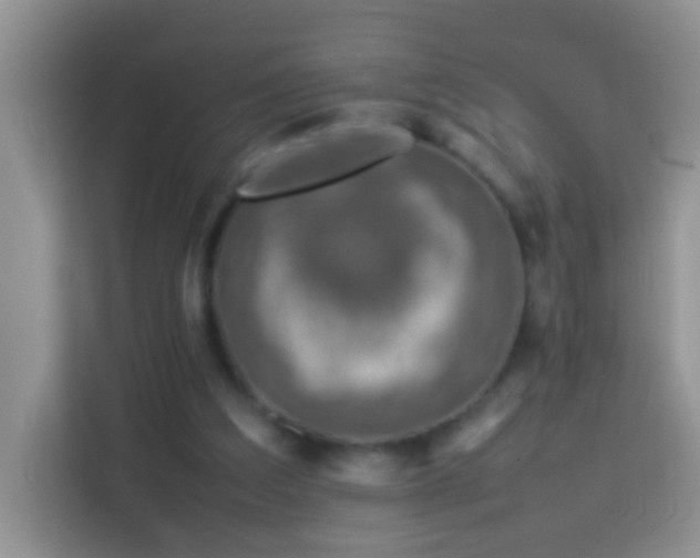 X0000114140203200910081311