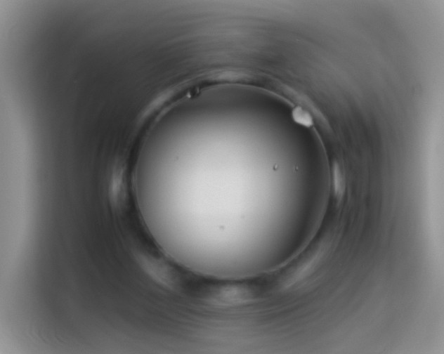 X0000114140204200910081311