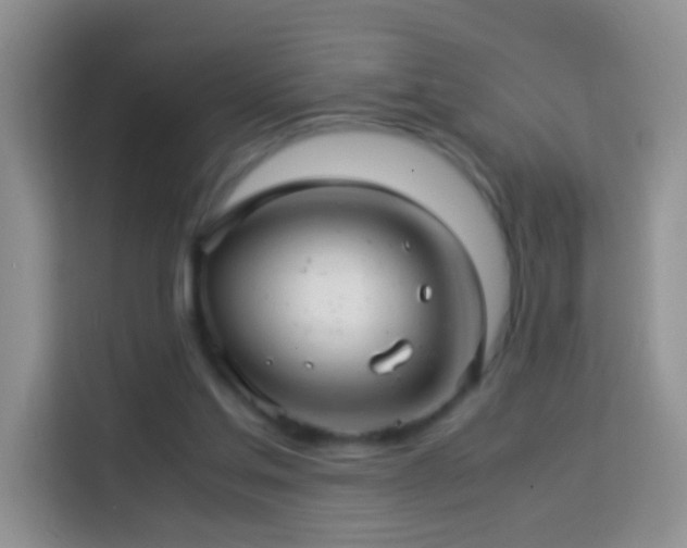 X0000114140205200910081311