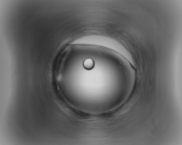 X0000114140207200910081311