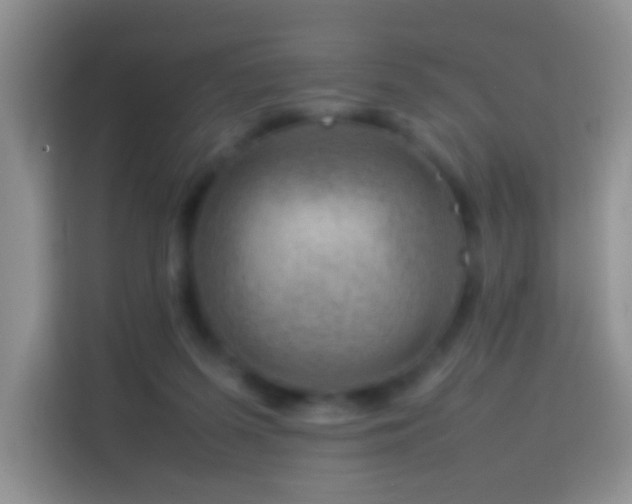 X0000114140215200910081311