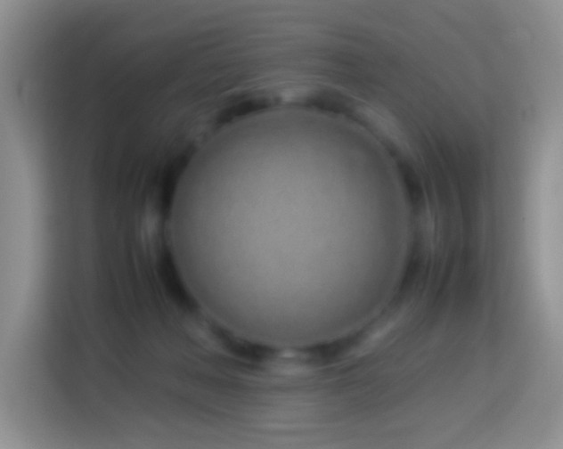 X0000114140222200910081311