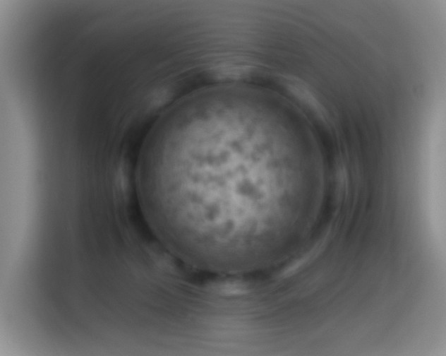 X0000114140228200910081311