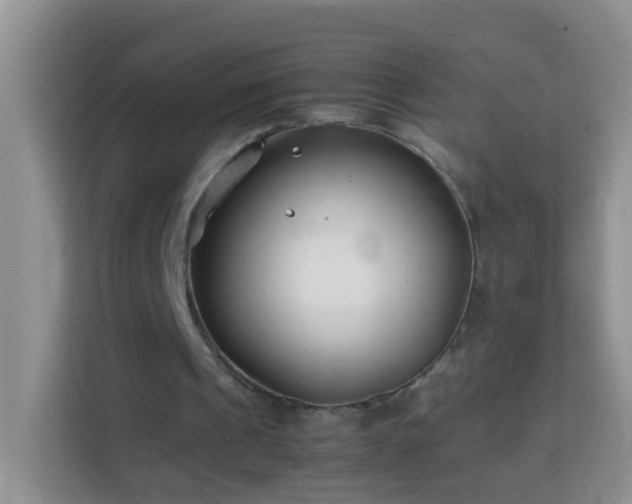 X0000114140241200910081310