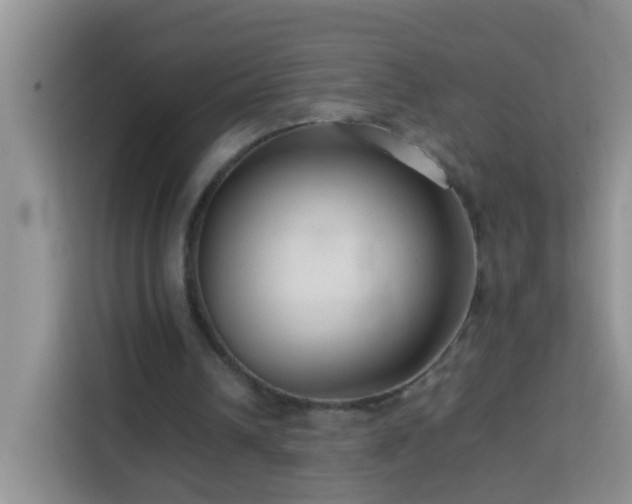 X0000114140242200910081310