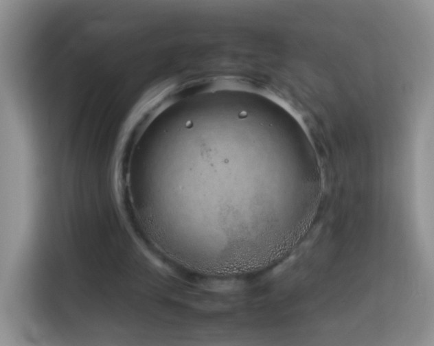 X0000114140245200910081310