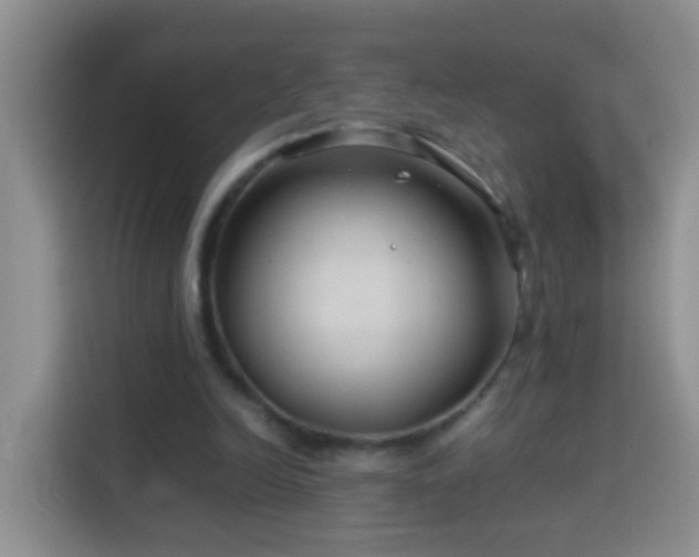 X0000114140246200910081310