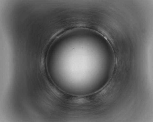 X0000114140249200910081310