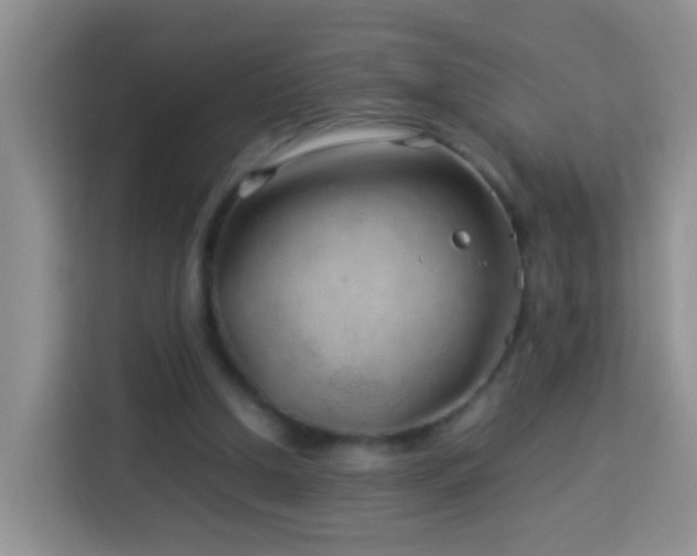 X0000114140250200910081310