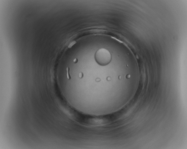 X0000114140255200910081310