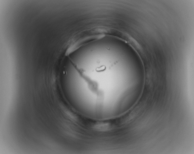 X0000114140257200910081310