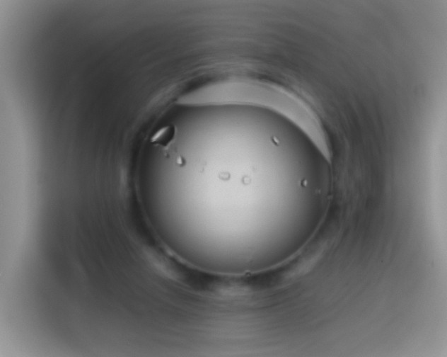 X0000114140258200910081310