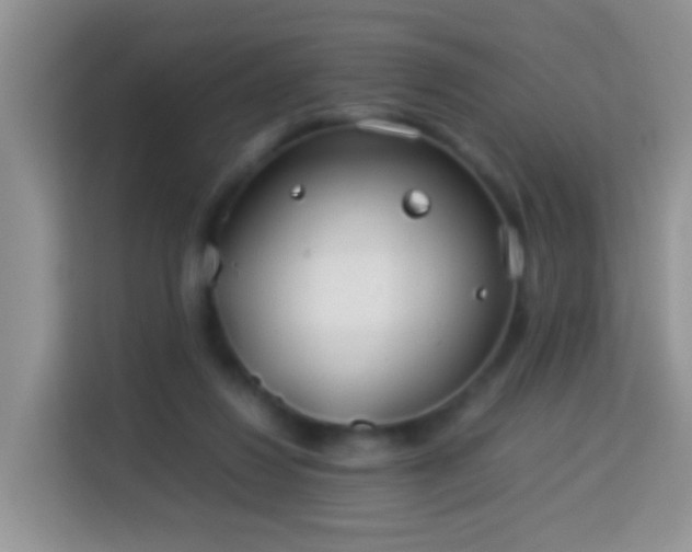 X0000114140260200910081311