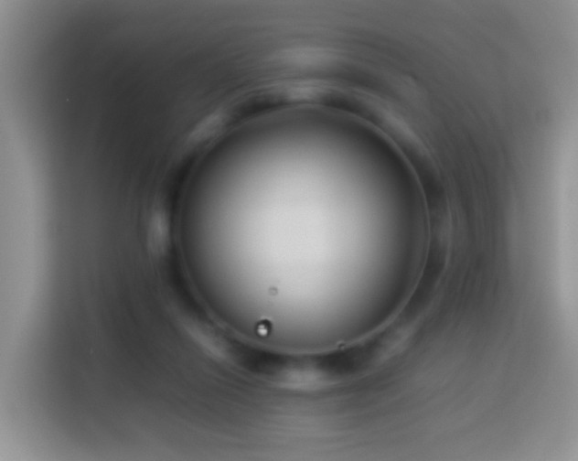 X0000114140262200910081311