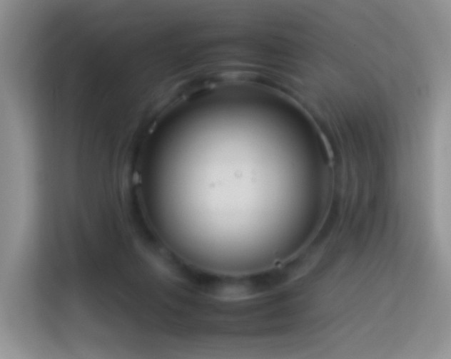 X0000114140263200910081311