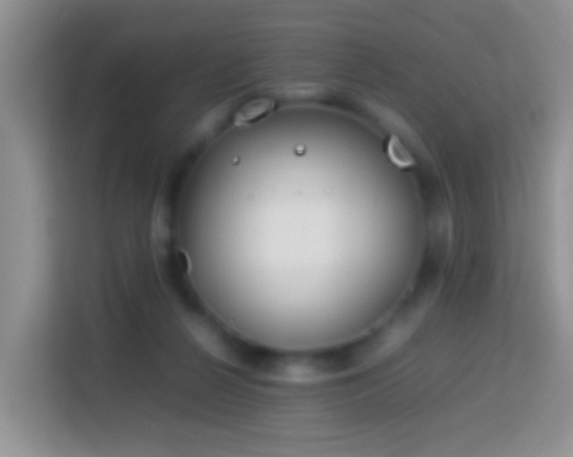 X0000114140264200910081311