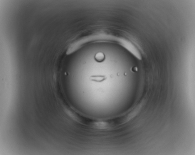 X0000114140265200910081311