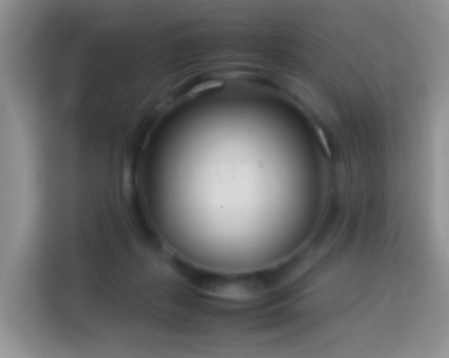 X0000114140267200910081311