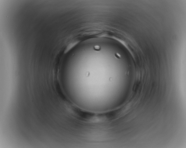 X0000114140270200910081311