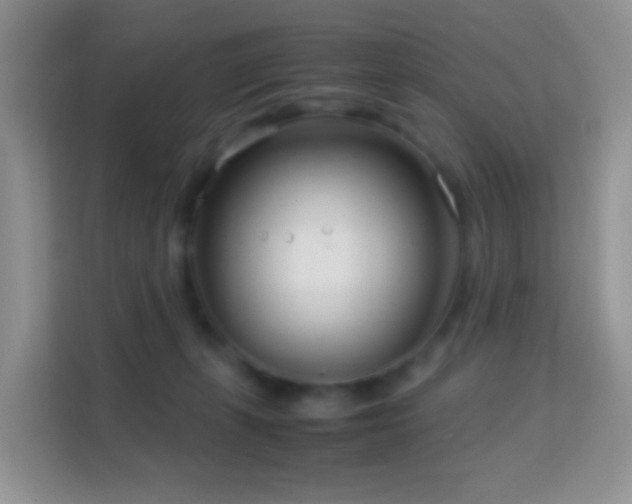 X0000114140271200910081311