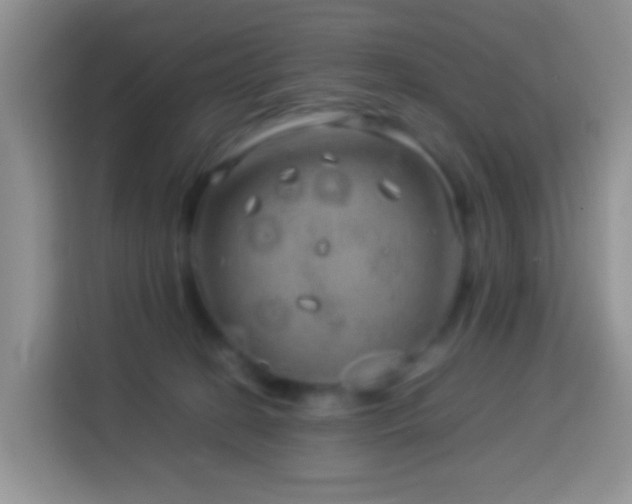 X0000114140274200910081311