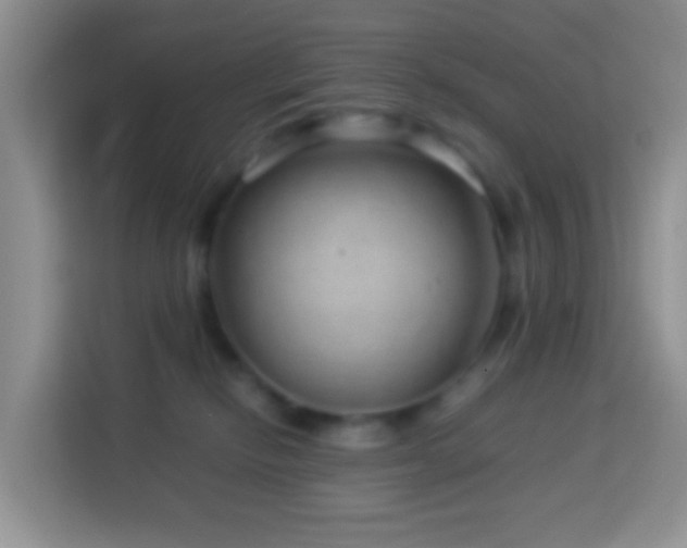 X0000114140278200910081311