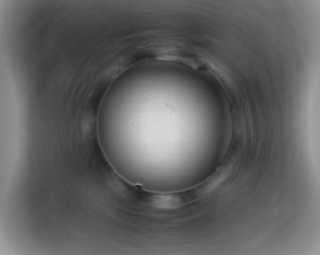 X0000114140281200910081311