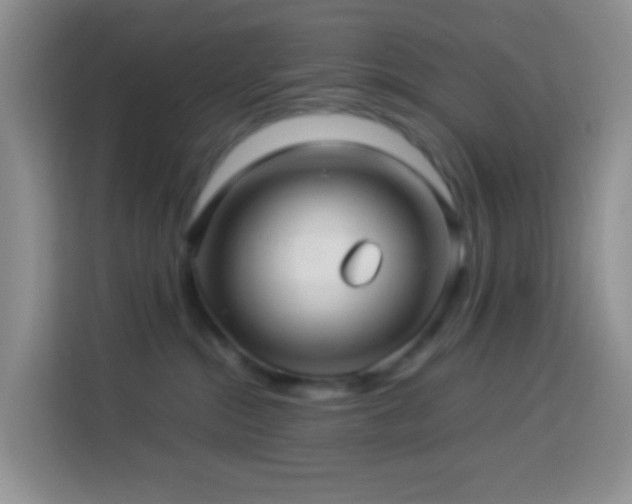 X0000114140284200910081311