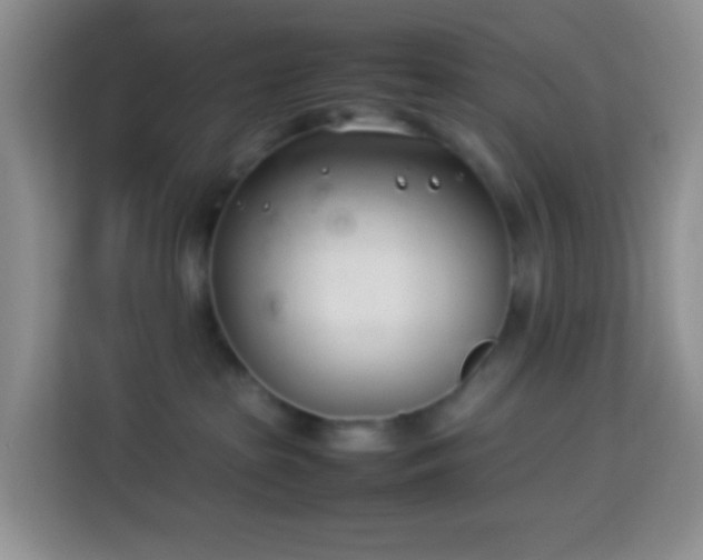 X0000114140285200910081311