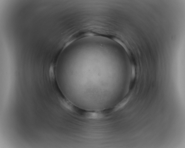 X0000114140286200910081311