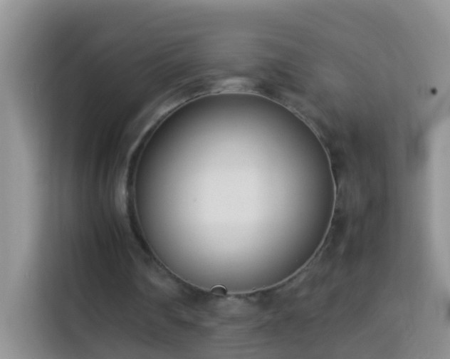 X0000114140290200910081310