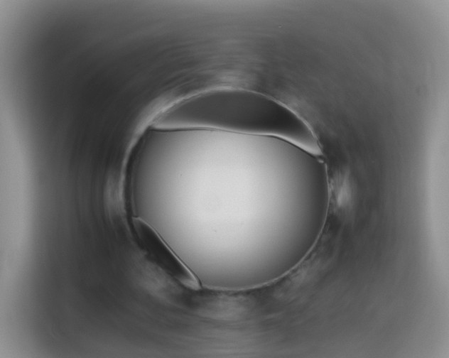 X0000114140292200910081310