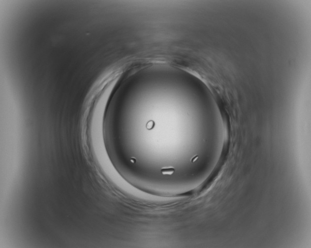 X0000114140293200910081310